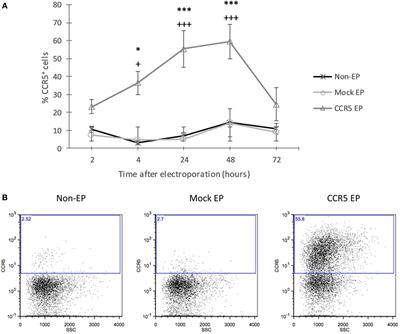 Shuttling Tolerogenic Dendritic Cells across the Blood–Brain Barrier In Vitro via the Introduction of De Novo C–C Chemokine Receptor 5 Expression Using Messenger RNA Electroporation